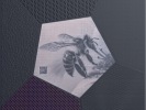 www.starlim.com